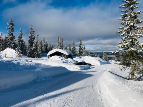 Hytta for 8 personer skiut/inn Trysil